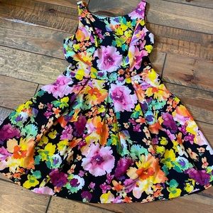 The Limited Floral Sleeveless A-line Dress Sz 10